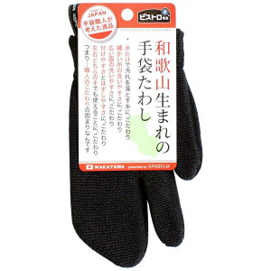 Tx@a̎R܂̎܂킵@L10312