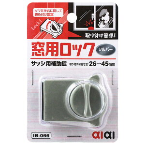 �a�C�Y�Ɓ@���p���b�N�@IB-066 �V���o�[