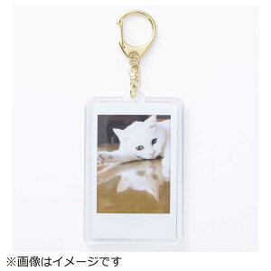 xmtC@FUJIFILM@tHgL[z_[@`FL@S[h@tHgL[tH_[`FLS[h