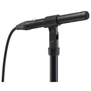 �\�j�[�@SONY�@�G���N�ƃ��b�g�R���f���T�[�}�C�N���z���@ECM-100N