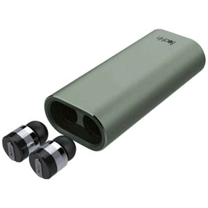 ROA�@�t�����C�����X�C���z�� �����R���E�}�C�N�Ή� �X�y�[�X�O���[ Beat-in Power Bank�@BI9314
