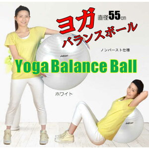 ���b�L�[�E�G�X�g�@�o�����X�{�[�� YOGA BALL(�p�[���z���C�g/��55cm)�@LG�]321