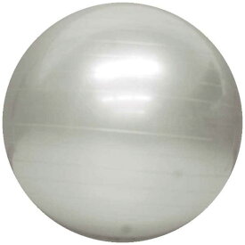 ラッキーウエスト　バランスボール　YOGA BALL(シルバー/φ55cm) LG-315