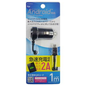 �I�Y�}�@�X�}�[�g�t�H���p�umicro�@USB�vDC�[�d��@2A�i1m�E�u���b�N�j�@�@IDC-20SP01K