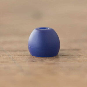 FINAL@Cs[X@E^Cv@SSTCY@6@FI-EPEVISS4 Violet