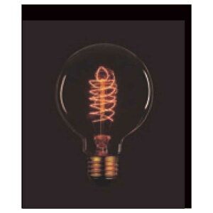 ELPA@Be[WviE26j@110V40W G95 F5 E26