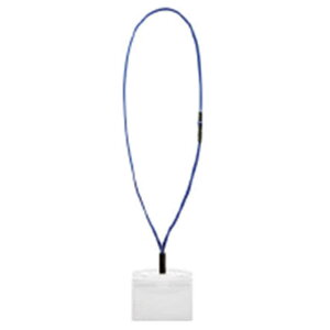 RN@݉DJ[hveNg2܂@it-SP195B