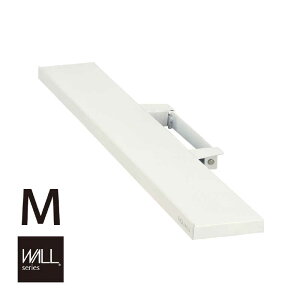 iJ@WALL erX^hV2EV3EV5Ή TEho[I MTCY 95cm TezCg@M05000179