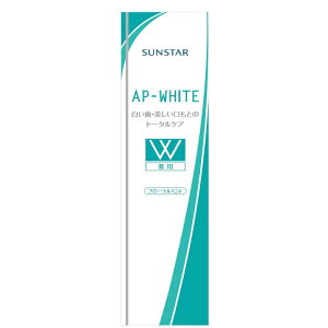 pAPzCg y[Xg t[~g 110g