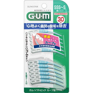 TX^[@GUM(K) \tgsbN J[u^ SSS-S ׂ^Cv 30{