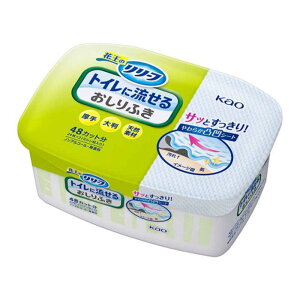 ԉ@Relief([t) gCɗ邨ӂ {