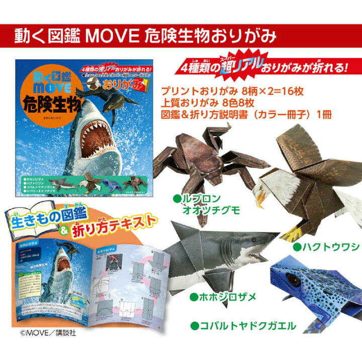 新到着 トーヨー あそべるおりがみ15ｃｍ 5108 折り紙 Shipsctc Org