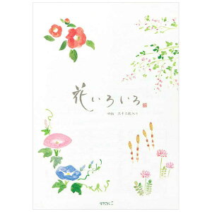 fUCtB@mⳁnⳁ@Ԃ낢땿@32i4×8Er18sj@20407006