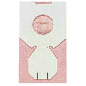 �����@HITACHI�@�|���@�p���p�b�N�@�i5�����j�@�@TN-15