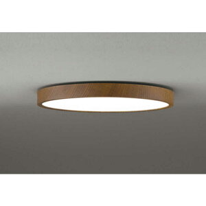 �I�[�f���b�N�@LED�Ɩ� �V�[�����O���C�g 12�� ���� ���F FLAT PLATE �����R���t�� �E�H�[���i�b�g�@SH8324LDR