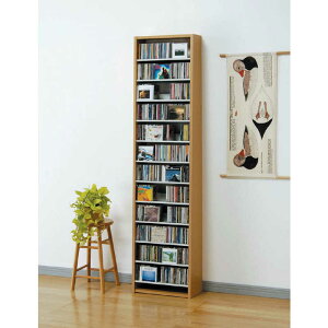 I[NX@CDXgbJ[@CS540N i`