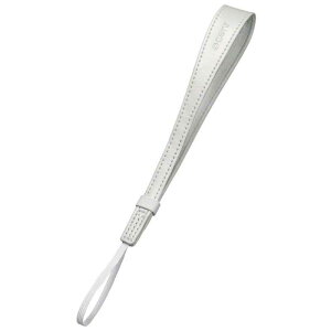 �\�j�[�@SONY�@���X�g�X�g���b�v�i�z���C�g�j�@STPWS2