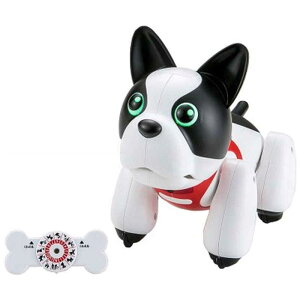 CCP@񂿂ȎqhD[L[@`iRCkhD[L[