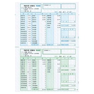 ソリマチ 給与・賞与明細書 明細型(500枚) SR210