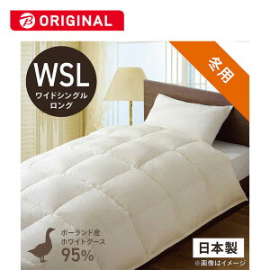 эH[@{|HѕzcuтӂƂv PR310 mChVOO(170×230cm) /~p /|[hYzCgO[X_E95 /{n