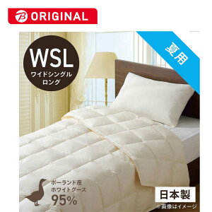 эH[@|HѕzcтӂƂ PR310-B2 ChVO(Z~_u)O(170×230cm) ėp zCgO[X_E95%