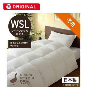 эH[@{|HѕzcuтӂƂv PR410M mChVOO(170×230cm) /~p /|[hYzCgO[X_E95 /{n