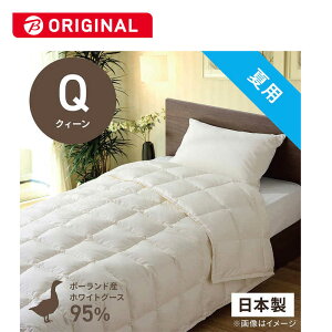 эH[@|HѕzcтӂƂ PR410-B2 NB[(210×210cm) ėp |[hYzCgO[X_E95 {