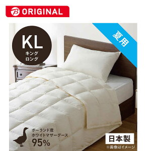 эH[@|HѕzcтӂƂ LOO(230×230cm) ėp zCg}U[O[X_E95