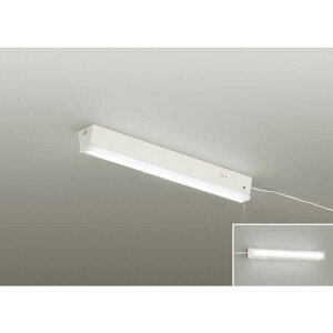 ����d�@�@LED�L�b�`�����C�g�@DXL-81343C