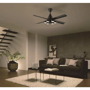 d@@DC[^[V[Ot@@ASL-615 [Rt /8 /dF]