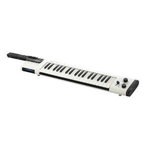 }n@YAMAHA@{[JChL[{[h@VKB-100