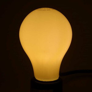 �������^���@LED�d���@�g�[���iTome�j�@�mE26�^�d���F�^20W�����^��ʓd���`�^�S�����n�@LDA2L-GW20W-TM