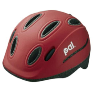 I[W[P[Jug@ǂpwbg@PAL_H(ARD