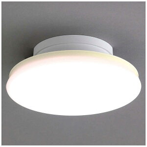 �A�C���X�I�[���}�@IRIS OHYAMA�@���^�V�[�����O���C�g�@�����^�@1200lm�@�d���F�@SCL12L-TH