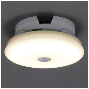 ACXI[}@IRIS OHYAMA@^V[OCg@^@600lm@l@dF@SCL6LMS-TH