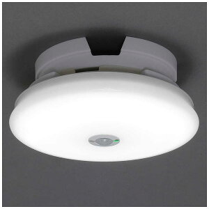 �A�C���X�I�[���}�@IRIS OHYAMA�@���^�V�[�����O���C�g�@�����^�@600lm�@�l���@�����F�@SCL6NMS-TH