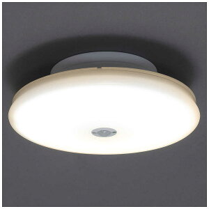 �A�C���X�I�[���}�@IRIS OHYAMA�@���^�V�[�����O���C�g�@�����^�@1200lm�@�l���@�d���F�@SCL12LMS-TH