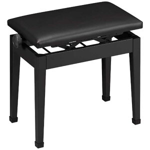 JVI@CASIO@dqsAmpCXiᎩ݁jubN@CB-30BK