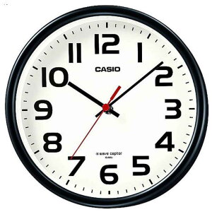 JVI@CASIO@dg|v@IQ-800J-1JF