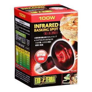 WFbNX@q[gO[ԊOƎ˃X|bg v 100W