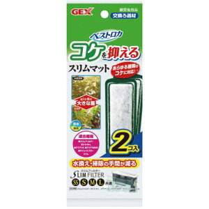 WFbNX@xXgJ RP} X}bg 2