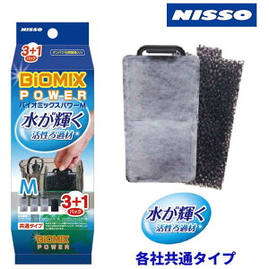 }Jjb\[@oCI~bNXp[M3+1