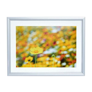 tWJ[@A~z@A32@A4@Vo[@A32A4Vo[