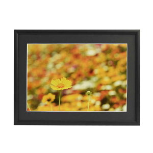 フジカラー アルミ額縁 A33 A4 ブラック A33A4ブラック