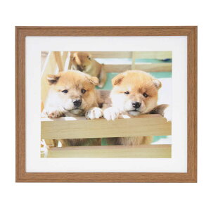 �t�W�J���[�@�ؐ��z���@YM-9_4��_�u���E�� �u���E��