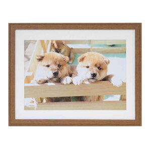 tWJ[@ؐz@YM-9_Ch4_uE