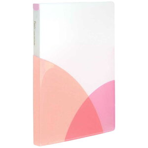 vX@pXeB[Y[toC_[@FC-800PR