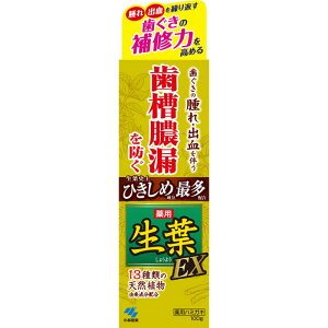 小林製薬 薬用 生葉EX 100g