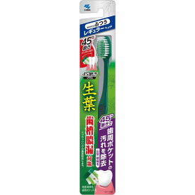 小林製薬　生葉　歯ブラシ　45°磨きブラシ　レギュラー　ふつう