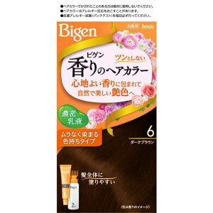 �z�[���[�@�yBigen�z����̃w�A�J���[ ���t 6 �_�[�N�u���E��